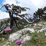 Torre Camarda Prázdninový dům
